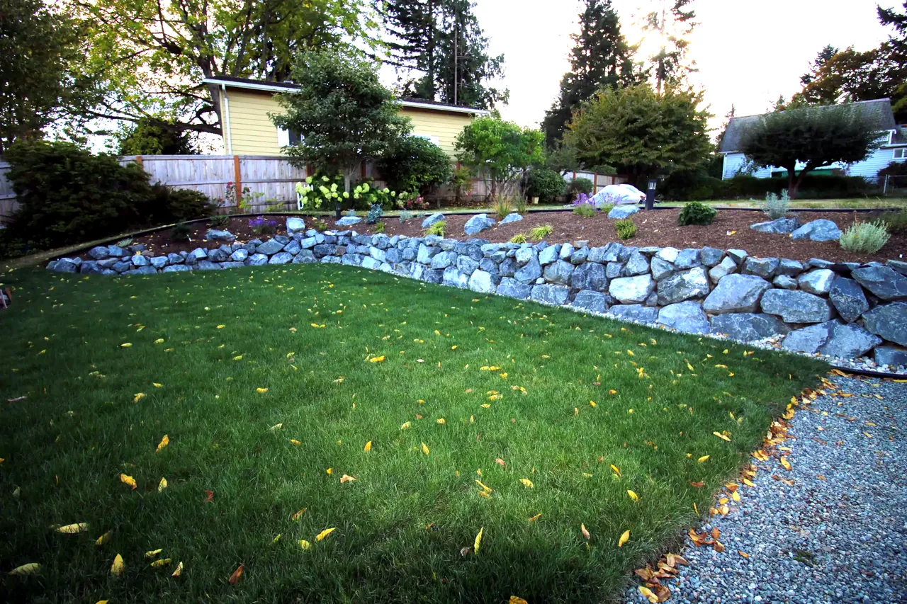 Backyard after — beautiful curved natural stone rockery wall with lawn