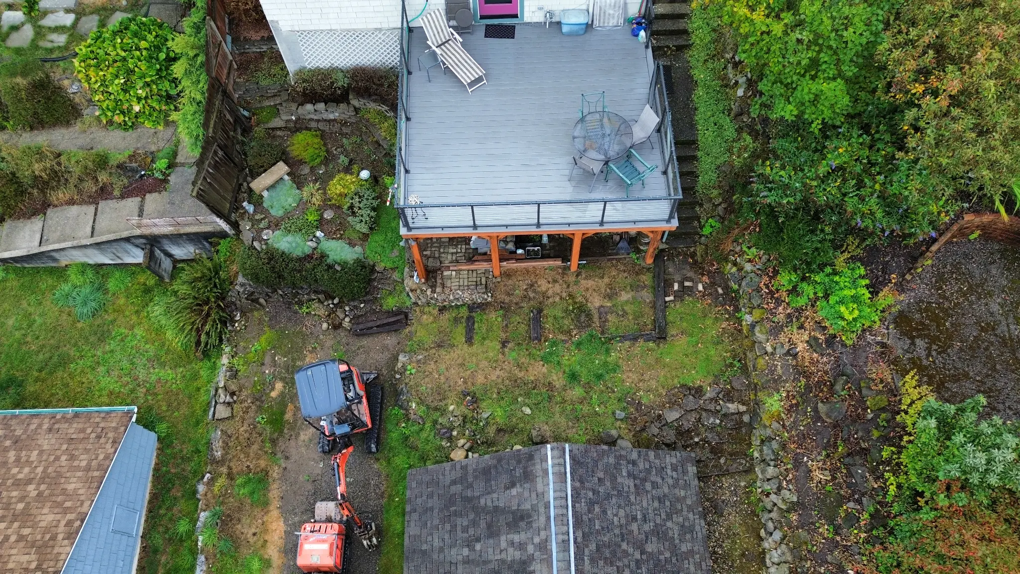 Backyard before — overgrown, no patio