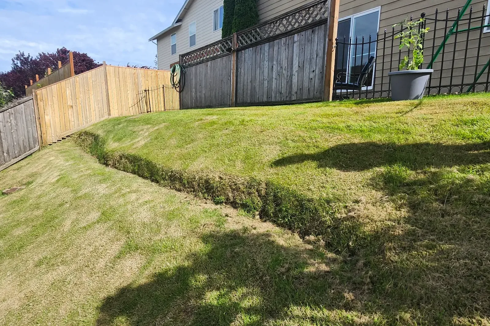 Before — steep, unprotected backyard slope