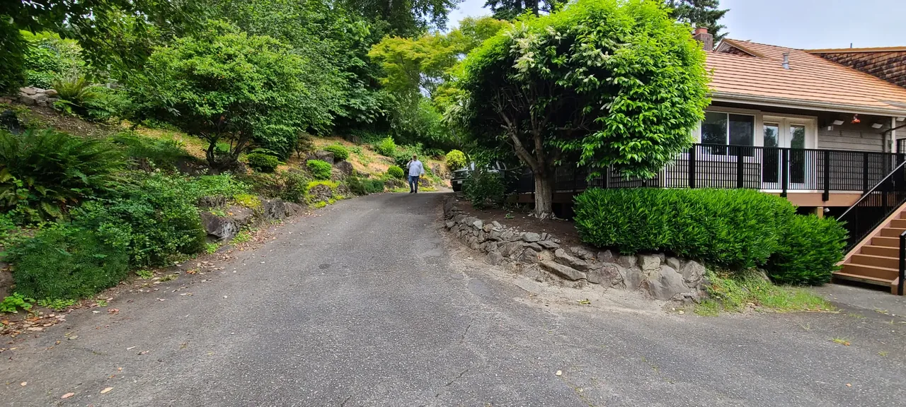 Driveway before — loose rocks and overgrown slope