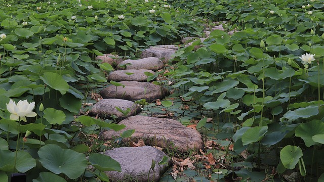 Stone Pathways English Garden