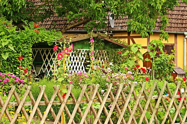 Yellow Cottage Garden