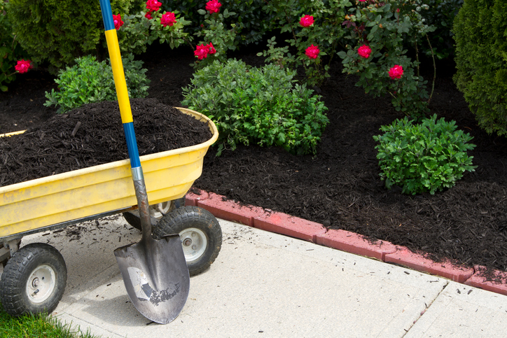 How To Mulch A Garden Properly Guide, How To Mulch A Garden Properly