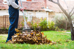 Fall Lawn Maintenance