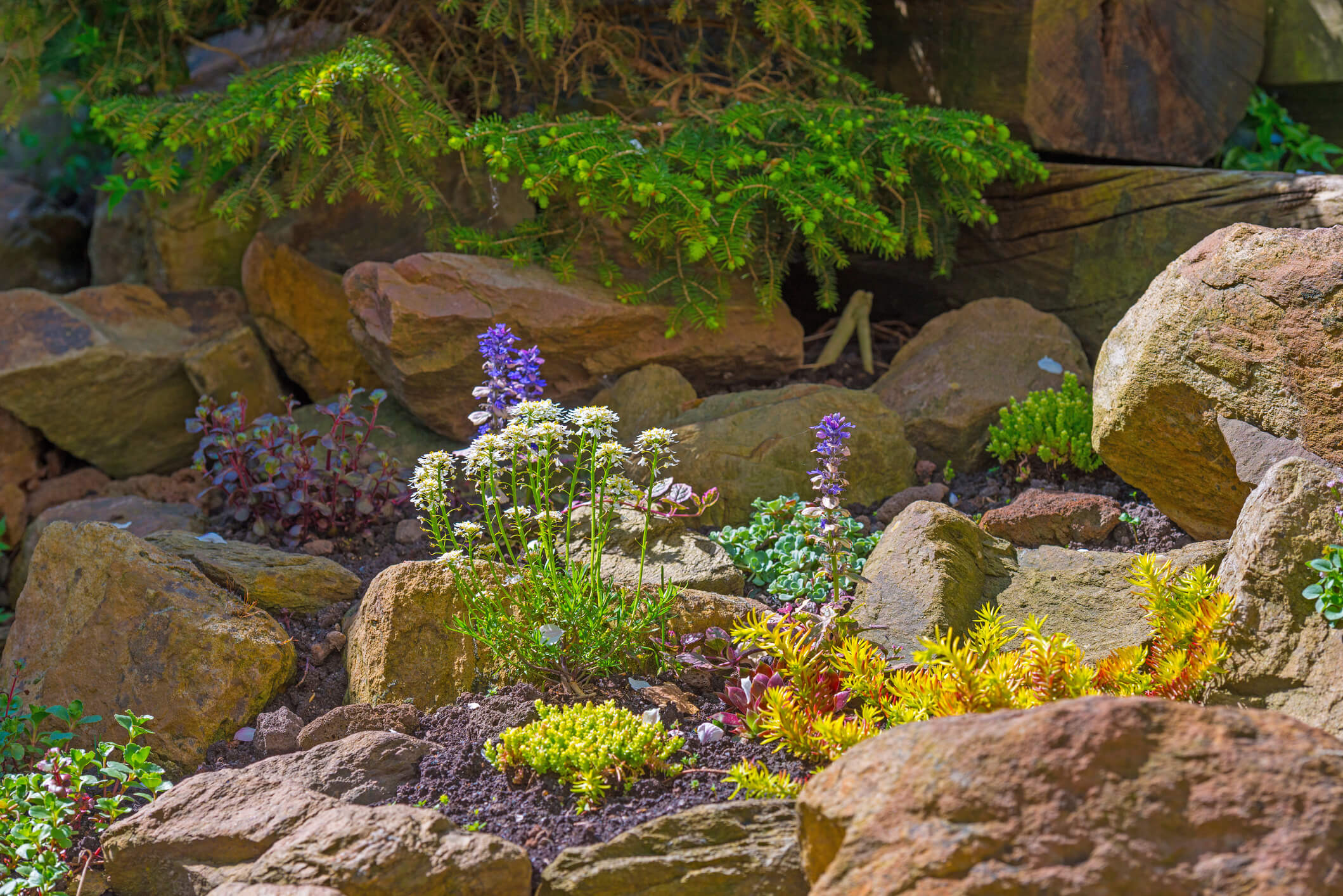 How To Build A Rock Garden On Slope