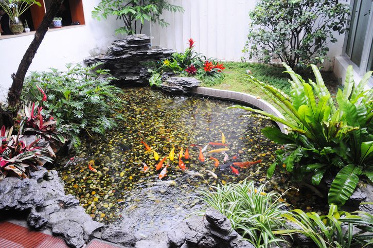 Small Rock Garden