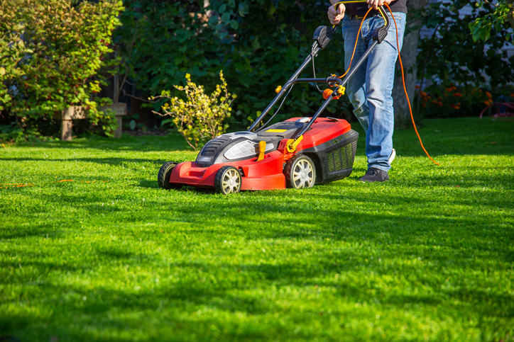 Seattle Lawn Care Tips
