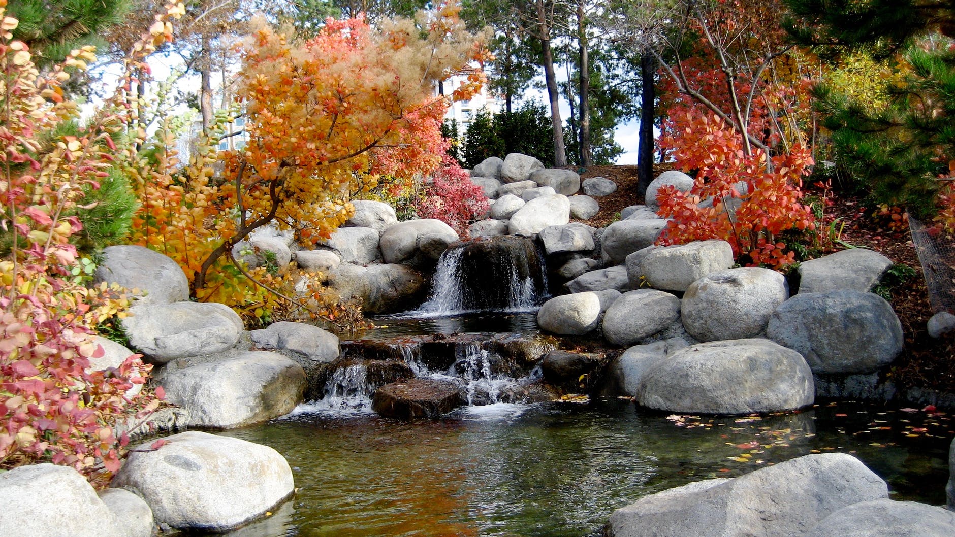 75 Small River Rock Landscaping Ideas You'll Love - January, 2024