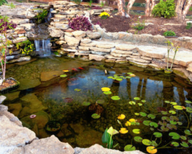 stone walls and fish pond
