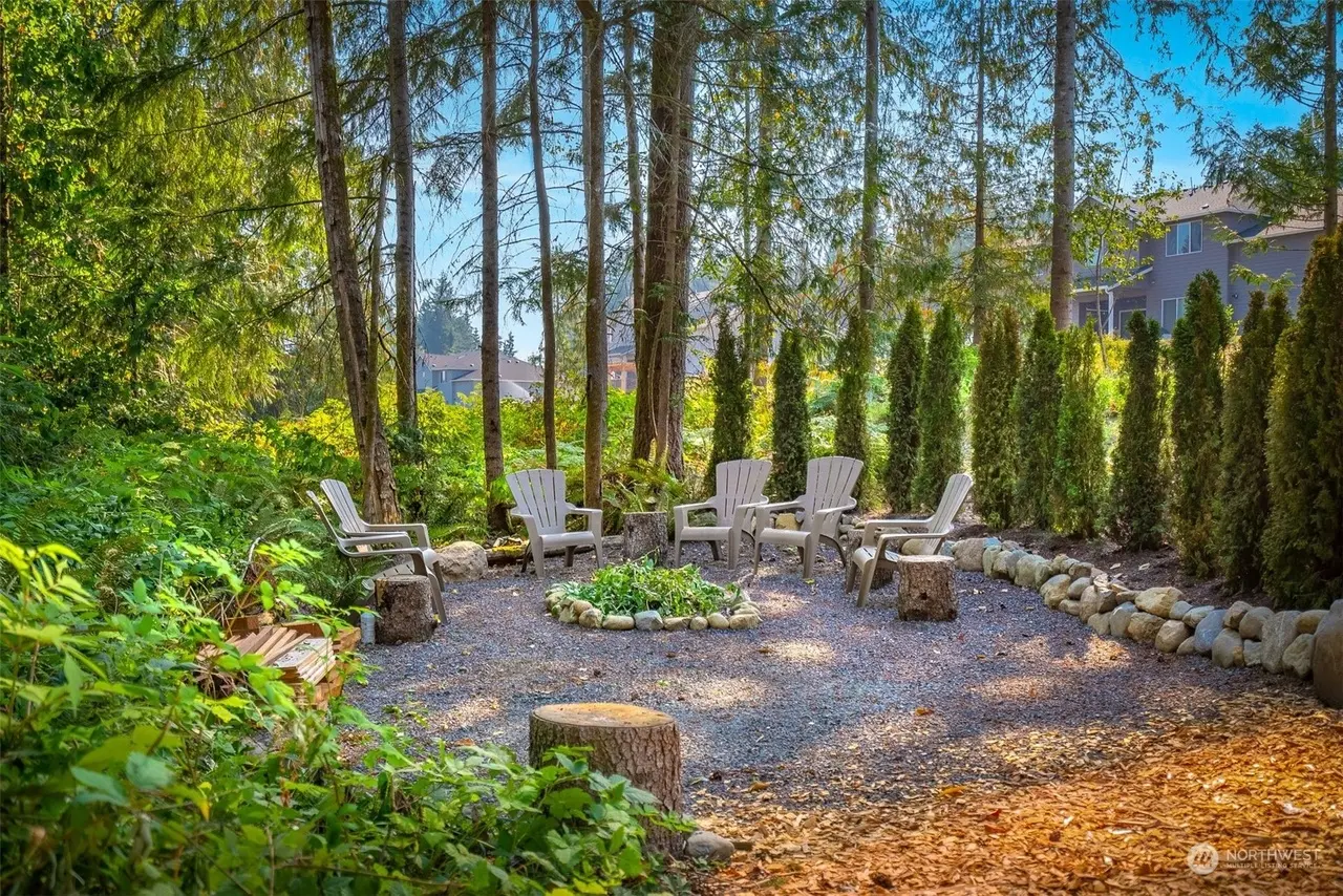 Large & Mature Tree Planting