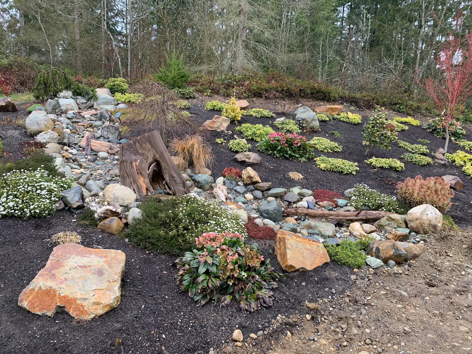 rock garden landscaping