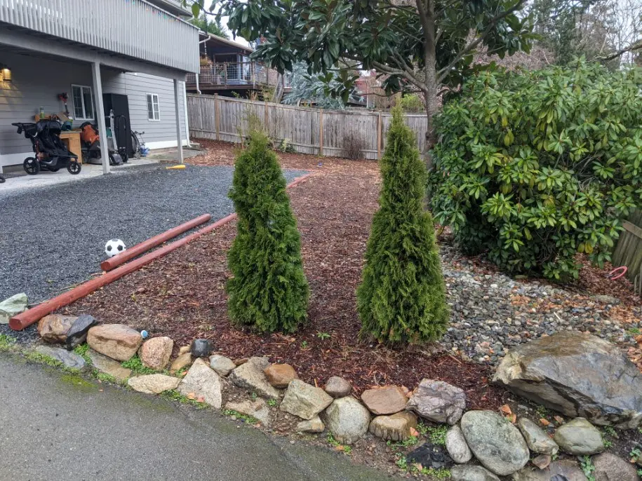 tree planting contractors