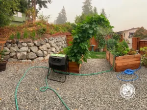 Planting & garden installation