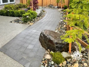 Tree & shrub services