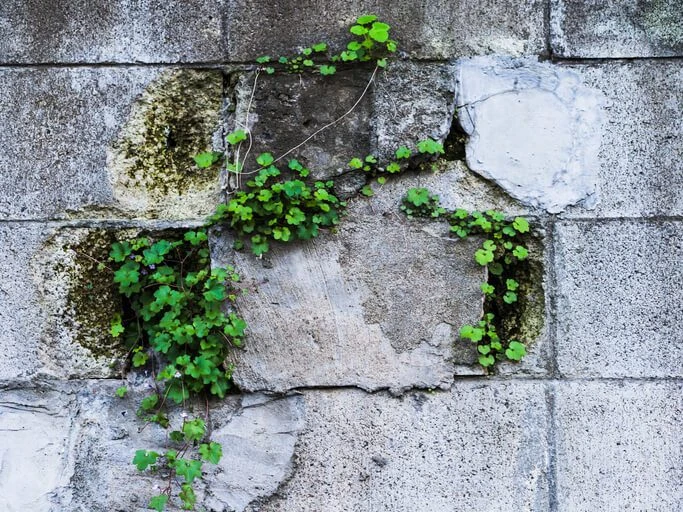 how to repair retaining wall