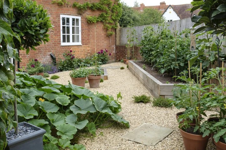 Home Courtyard Ideas - Elegant Outdoor Area