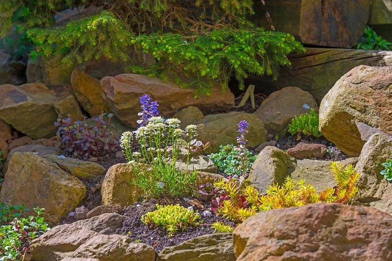 slope rock garden