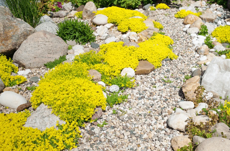 building a rock garden