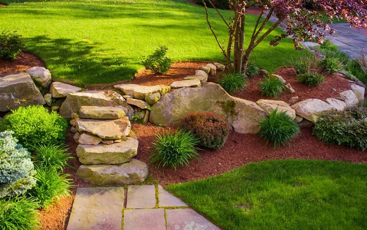 Rockwall Landscaping Services