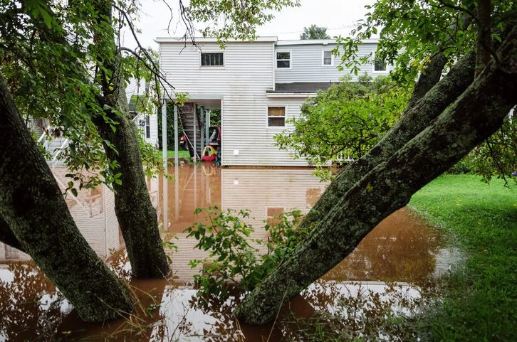 Backyard Flooding
