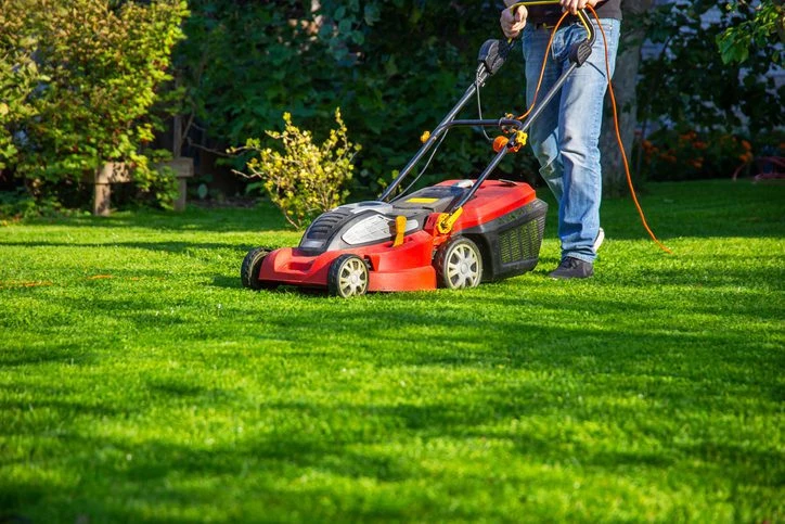 Seattle-Lawn-Care