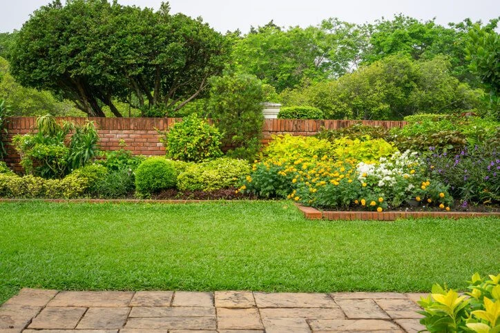 landscaping borders around trees