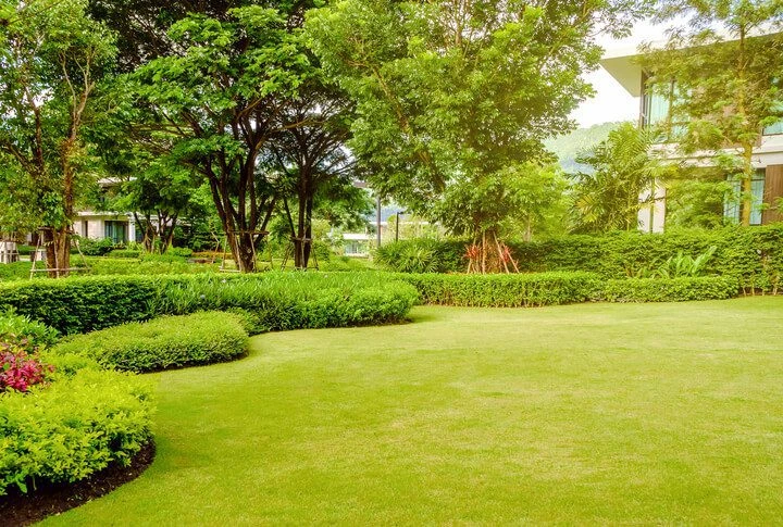 Eco Landscaping